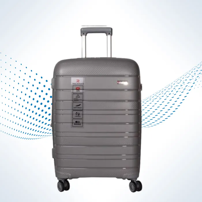 چمدان ریکاردو Ricardo Luggage - تصویر 2